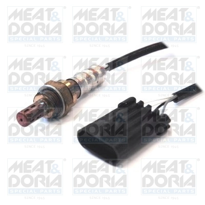 Oxygen Sensor